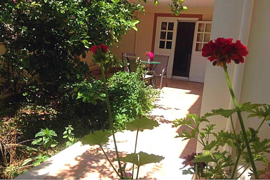 Apartment Hide Away In Discounts Nafplio